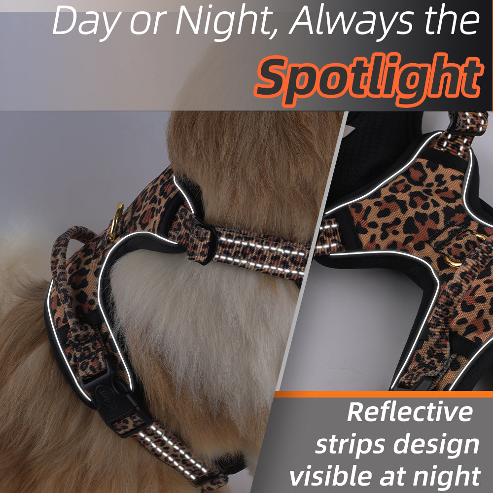 🐆💎 PAWSJOYS – LEOPARD WALK SET 💎🐆 ✨ 4-Piece Luxury Pack – Walk Fierce. Walk Stylish. ✨