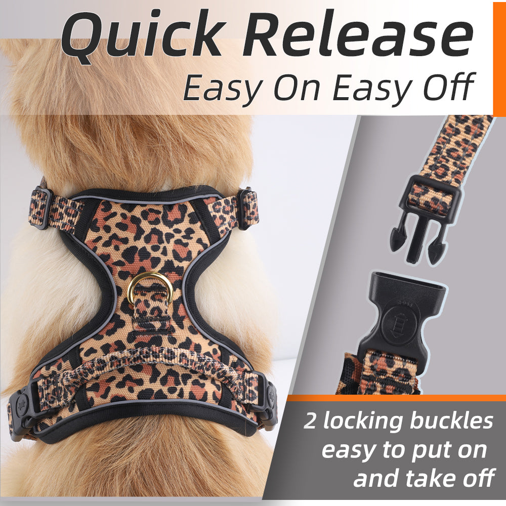 🐆💎 PAWSJOYS – LEOPARD WALK SET 💎🐆 ✨ 4-Piece Luxury Pack – Walk Fierce. Walk Stylish. ✨