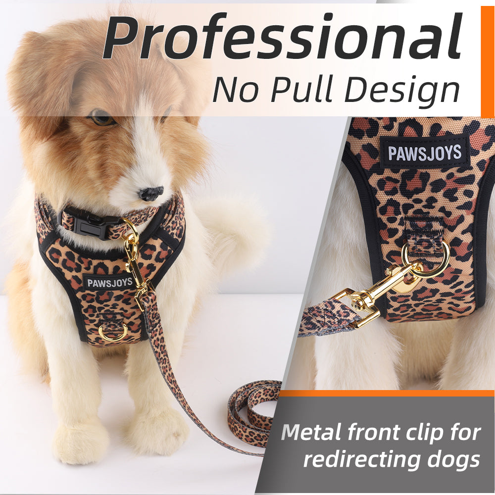 🐆💎 PAWSJOYS – LEOPARD WALK SET 💎🐆 ✨ 4-Piece Luxury Pack – Walk Fierce. Walk Stylish. ✨