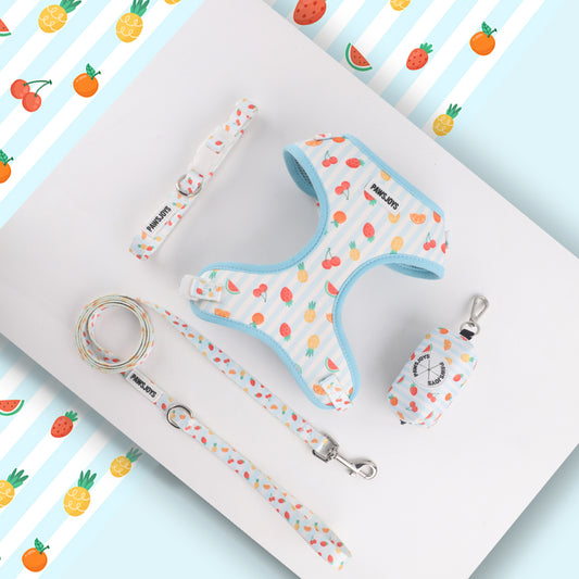 PawsJoys Fruit Walk Set 🍍 – 4-Piece Dog Harness, Collar, Leash & Poop Bag Holder