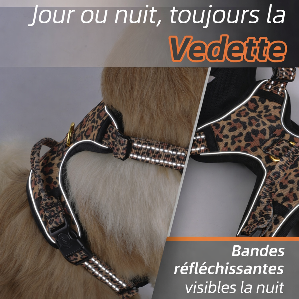 PawsJoys Ensemble Harnais Chien 4 Pièces Motif Léopard – Harnais Anti-Traction, Laisse, Collier et Distributeur de Sacs – Ajustable et Réfléchissant
