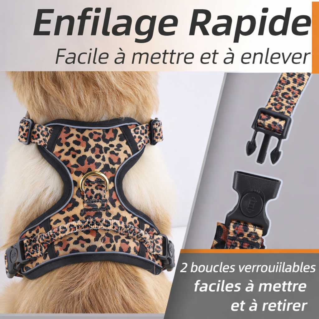 PawsJoys Ensemble Harnais Chien 4 Pièces Motif Léopard – Harnais Anti-Traction, Laisse, Collier et Distributeur de Sacs – Ajustable et Réfléchissant

